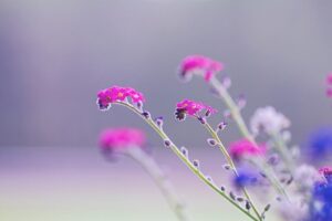love-higashide-an