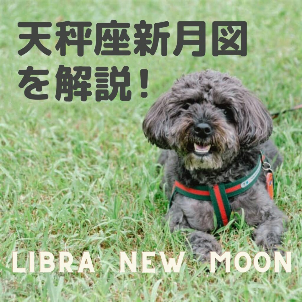 天秤座新月図の解説！