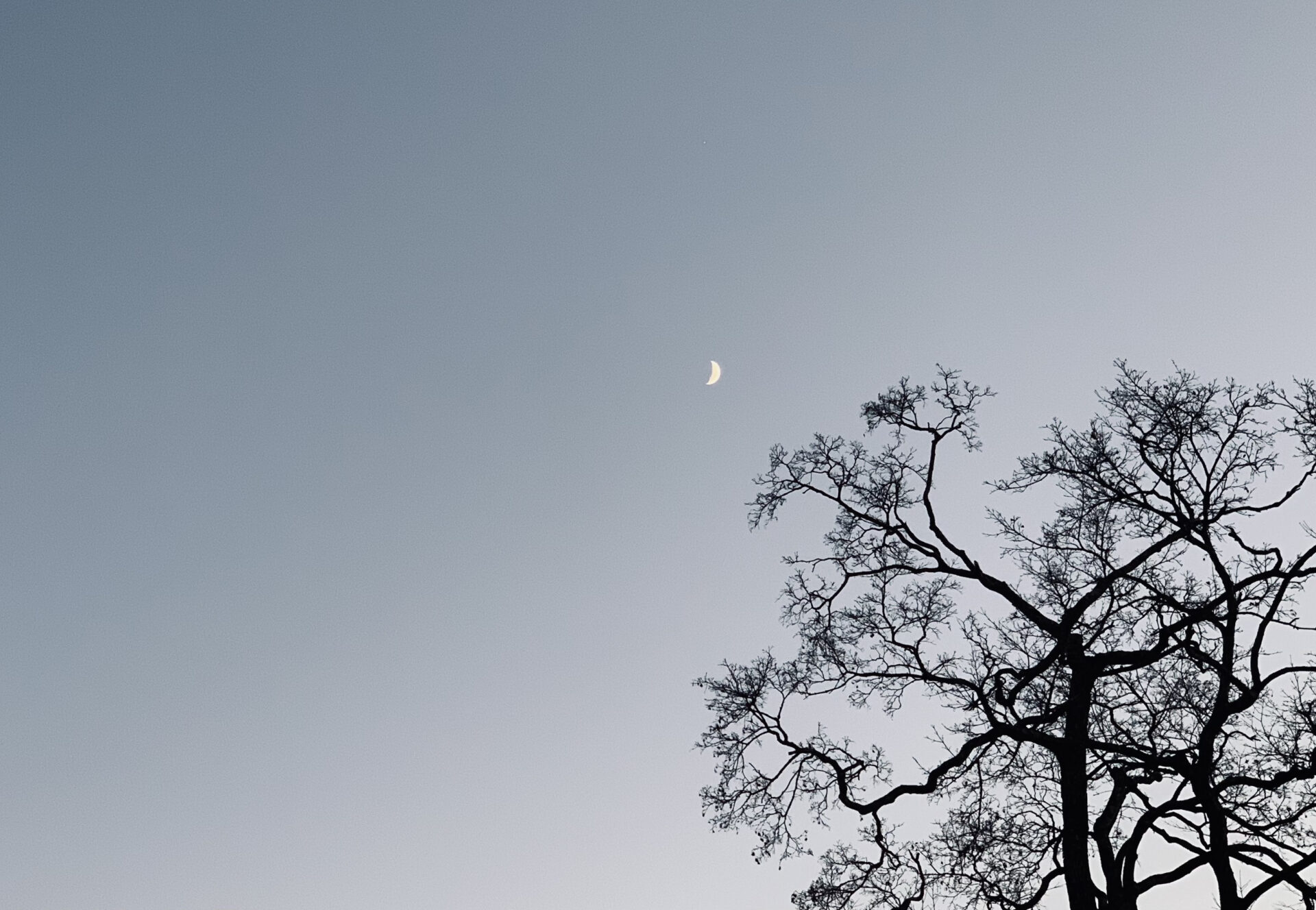 寒空