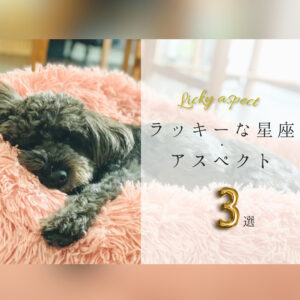 ラッキーな星座アスペクト3選